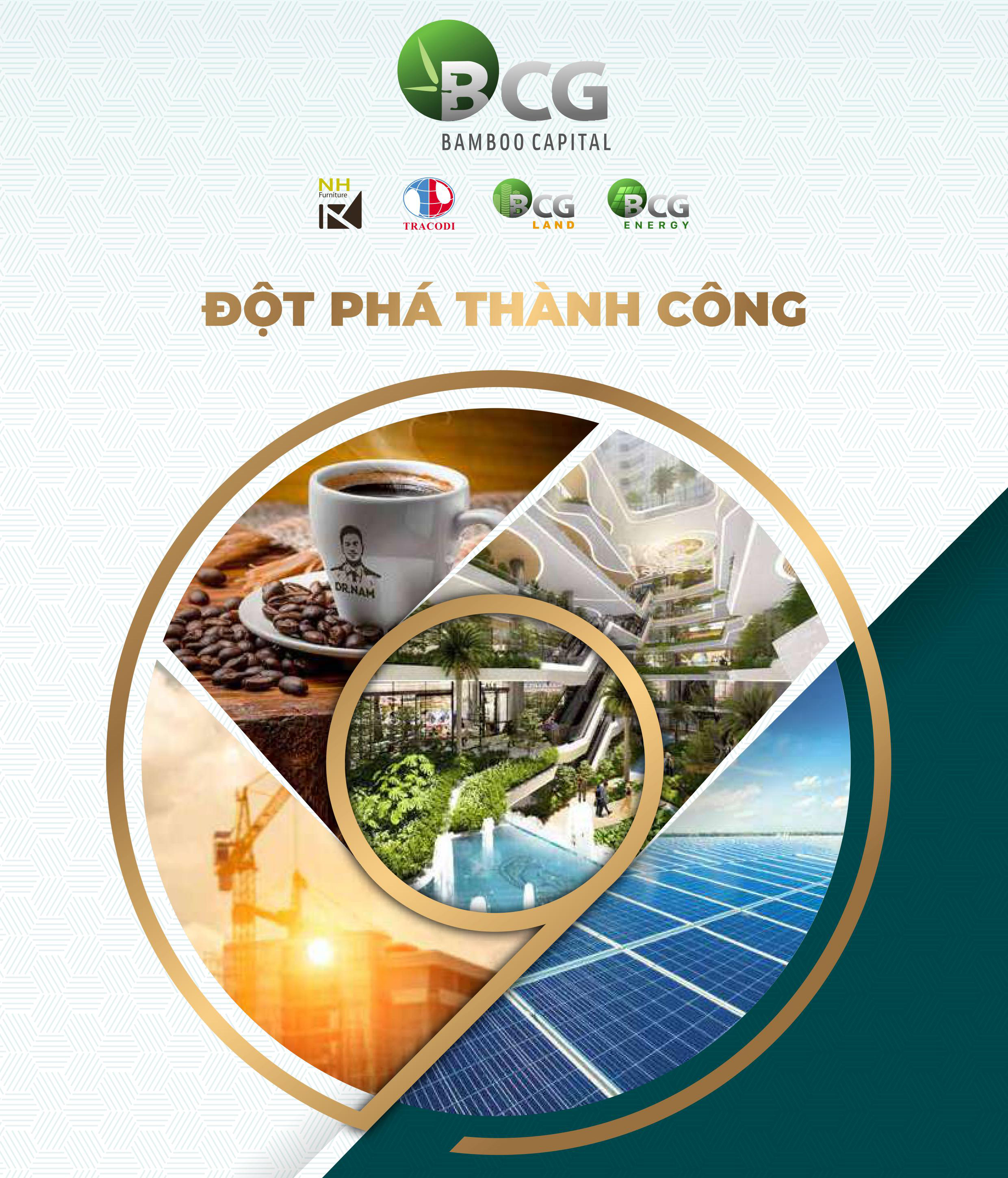 BCG Báo cáo thường niên 2020