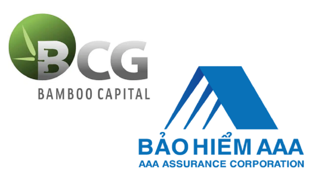 Bamboo Capital Group completed the acquisition of 80.64% shares of AAA Insurance Jsc