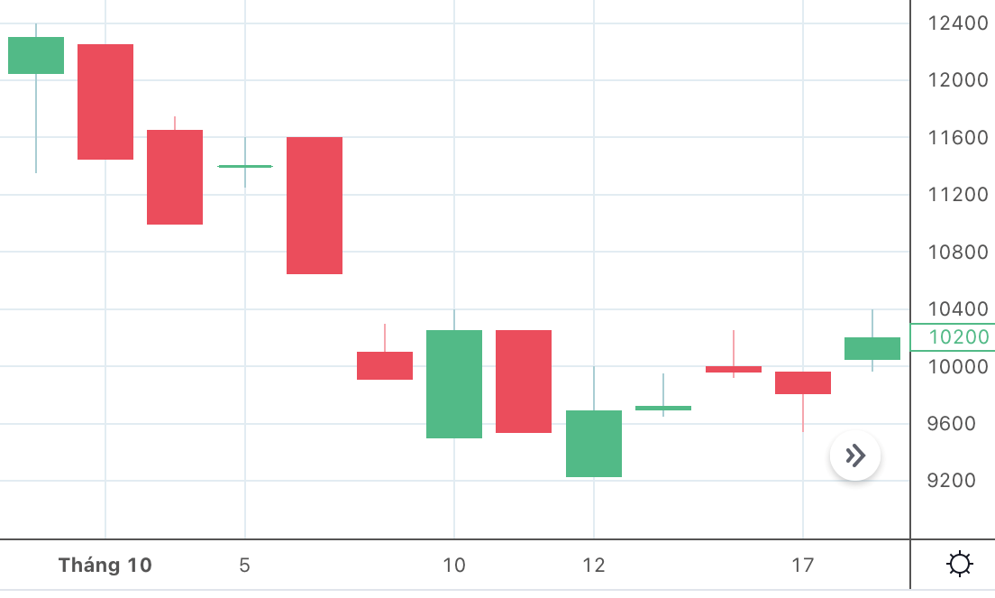 Bamboo Capital khẳng định không có việc người nội bộ “bán chui” cổ phiếu công ty