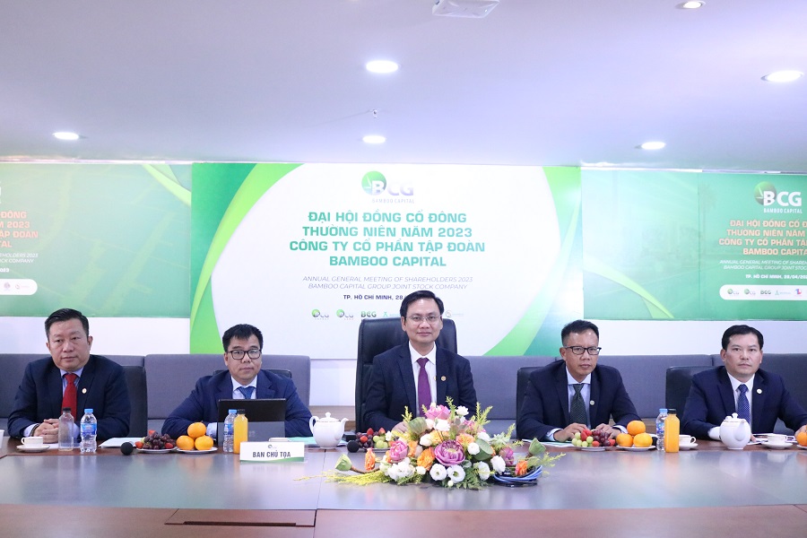 Bamboo Capital to put more energy into infrastructure, drug sectors