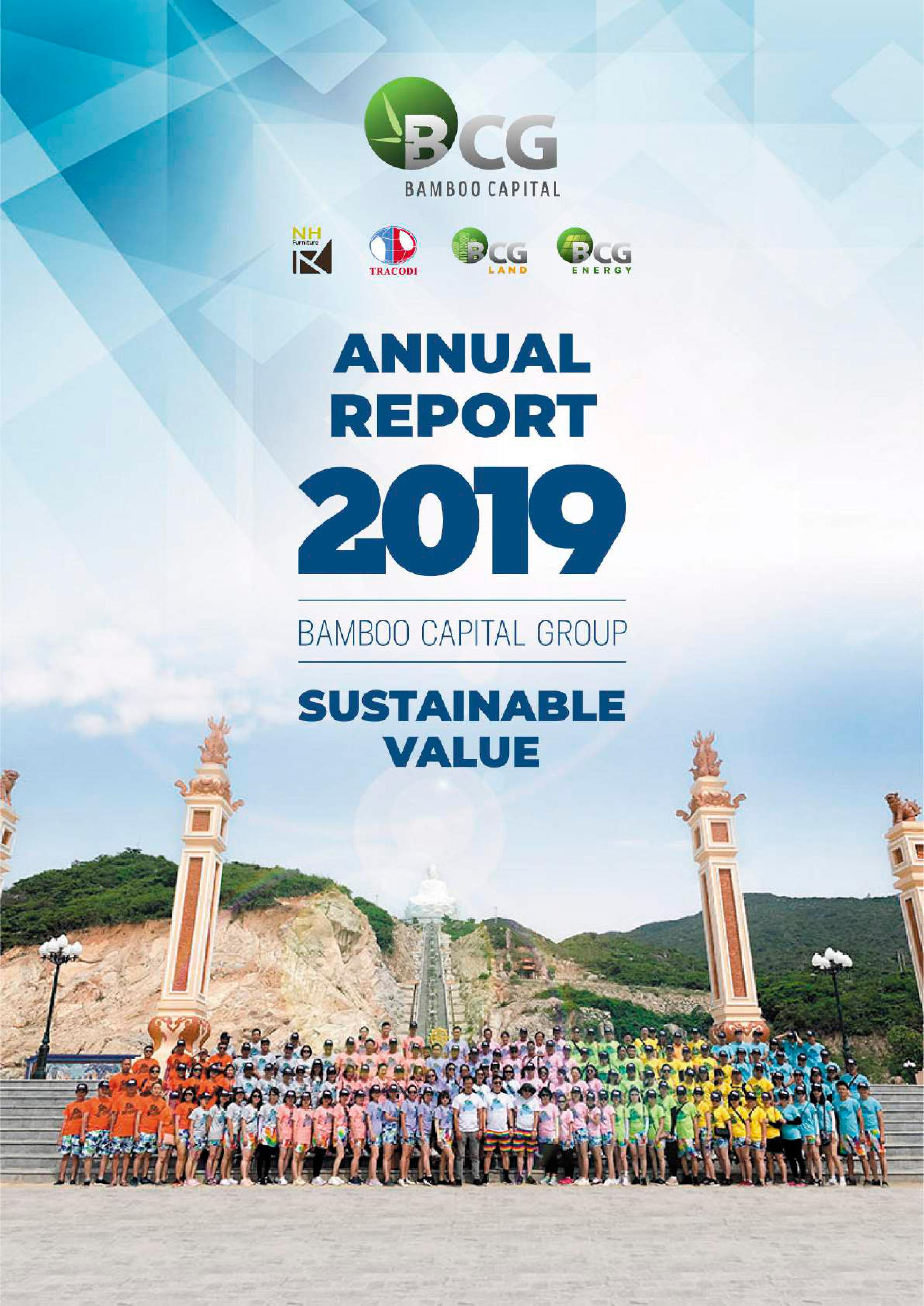 BCG Annual Report 2019